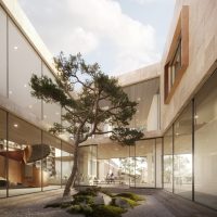 Mature tree inside a glass-walled residential courtyard.